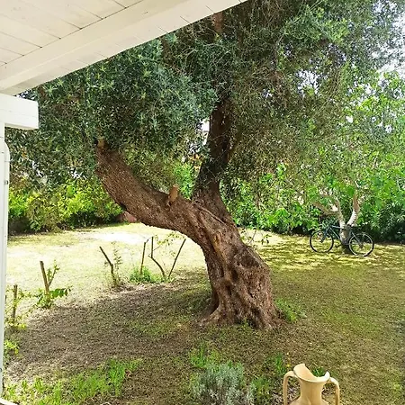 Villa Le Cicale * Torre Colimena